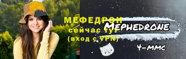 МДПВ Бородино